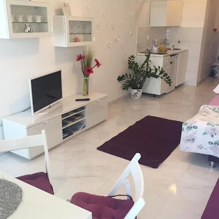 Cute Studio-Great Location زادار المظهر الخارجي الصورة