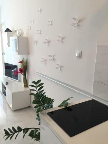 Cute Studio-Great Location زادار المظهر الخارجي الصورة