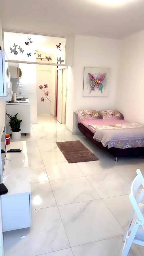 Cute Studio-Great Location زادار المظهر الخارجي الصورة
